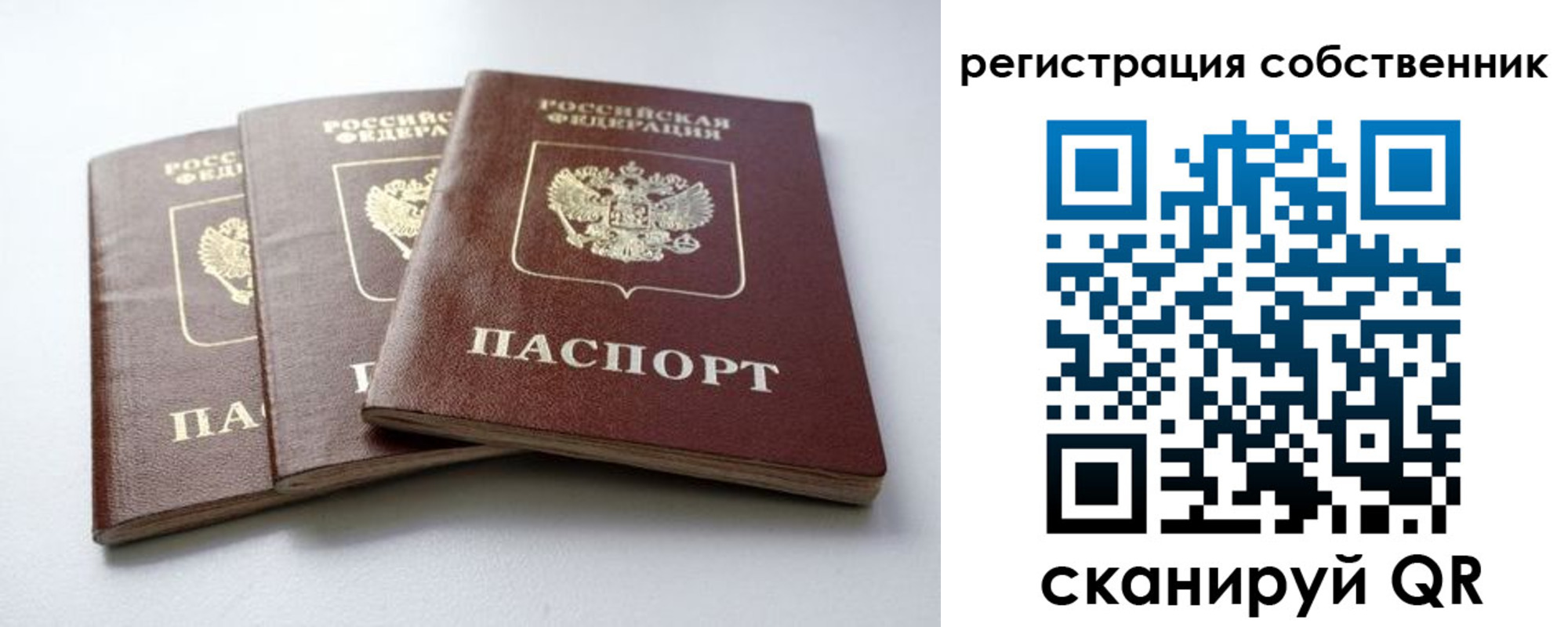 прописка для школы в Невельске